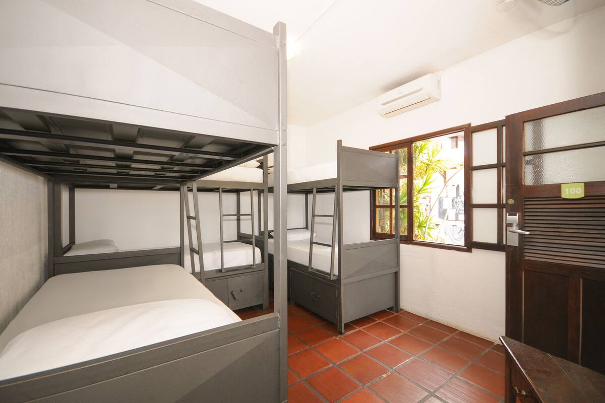 A dormitory room with bunk beds, a window with a view of greenery, and a door with a number sign.