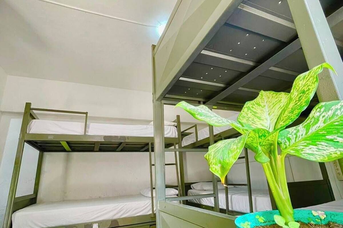 Exclusive Shared Dormitory, Women only | Blackout drapes, WiFi (free), bed sheets