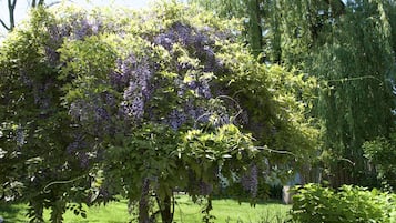 Jardín