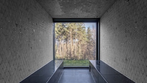 A modern interior with a geometric patterned wall, a dark floor, and a window providing a view of a forest.