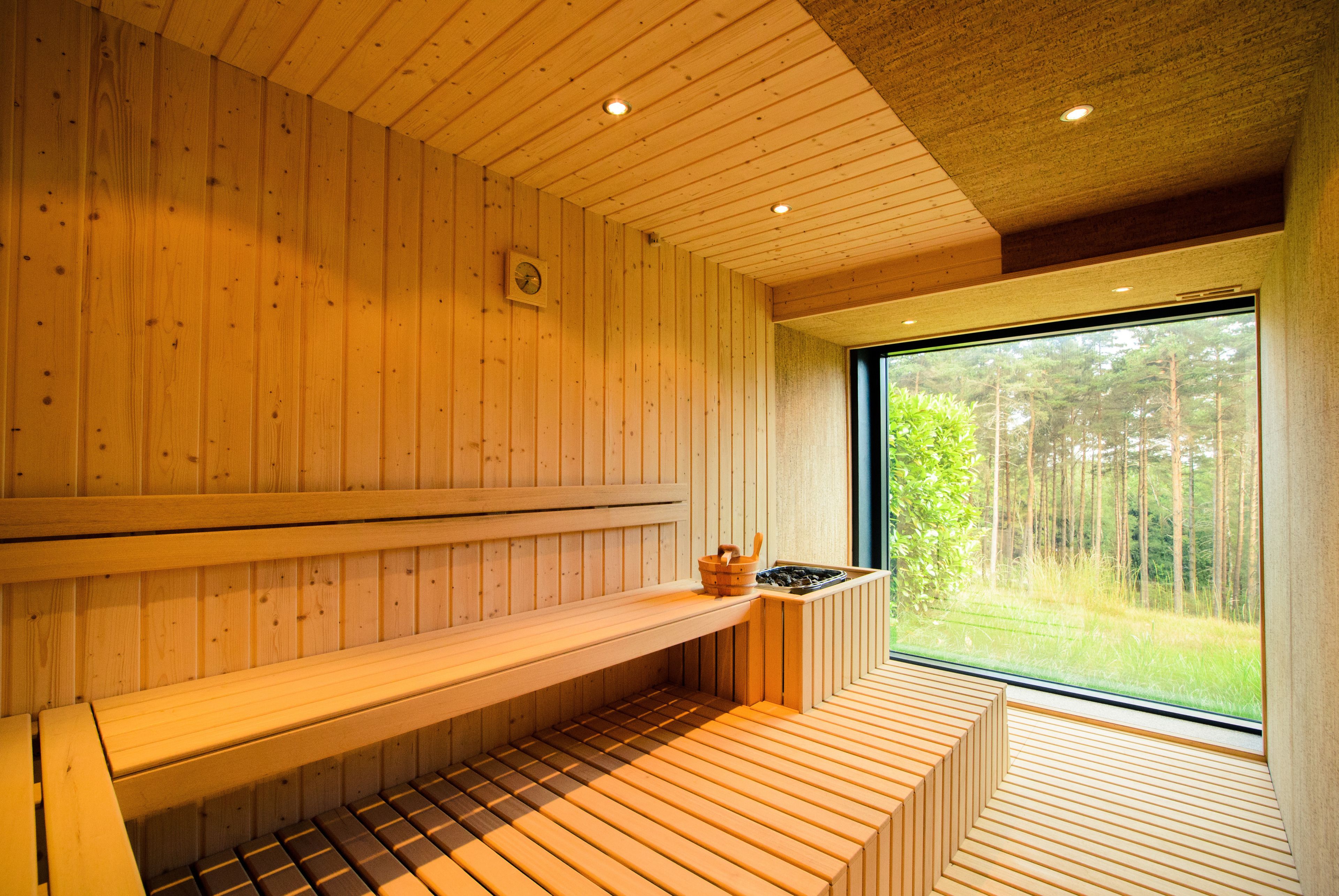 Una sauna de madera con bancos y un ventanal con vista al bosque.
