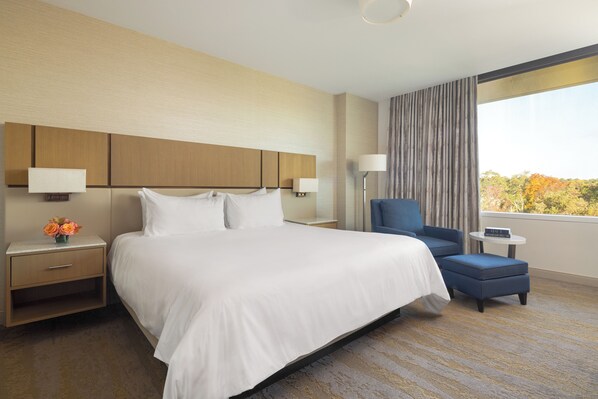 Superior Suite, 1 King Bed