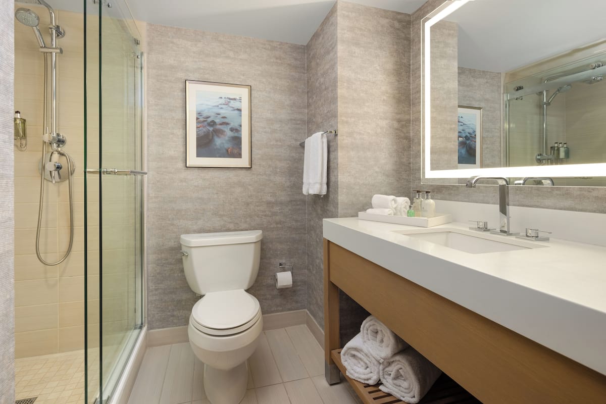 superior suite, 1 king bed | bathroom | designer toiletries, hair dryer, bathrobes, towels