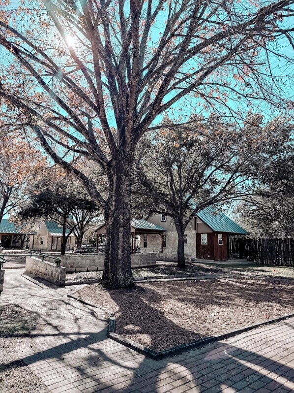 BBQ/picnic area