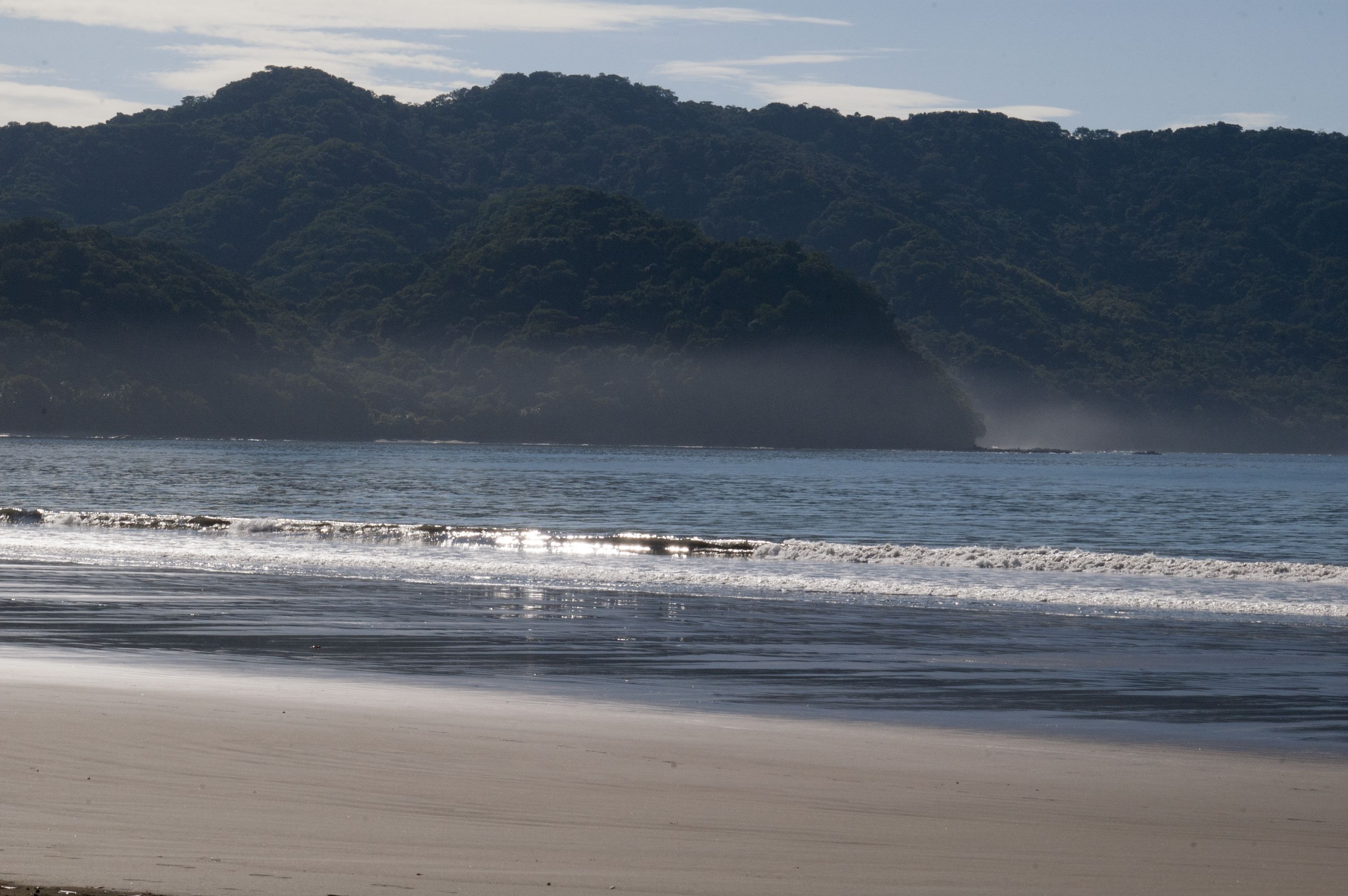 A beach with waves, a sandy shore, and a forested hill in the background.