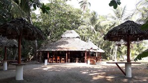 A rustic hut with a thatched roof, surrounded by palm trees and wooden furniture. - Viva Tambor Villas (Paquera)