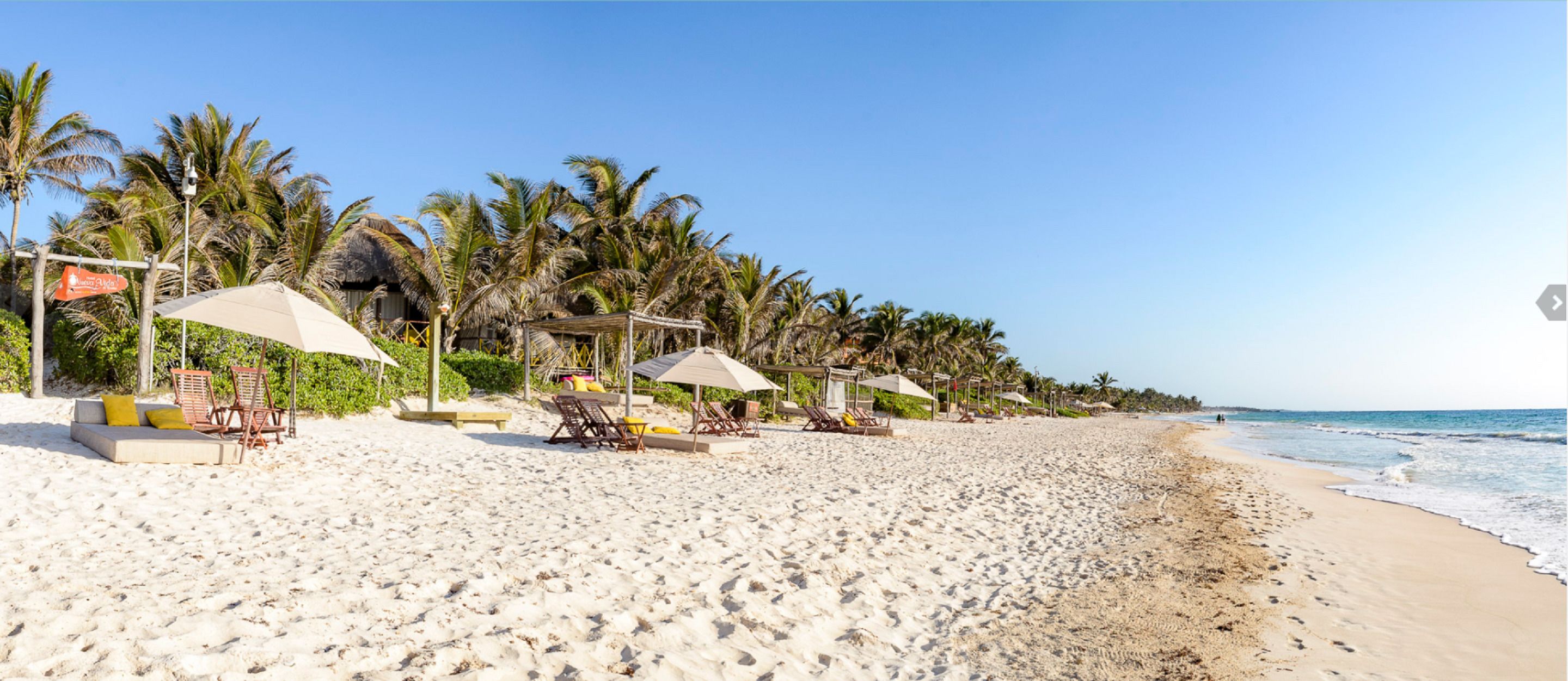 A beach with sun loungers, umbrellas, and palm trees.