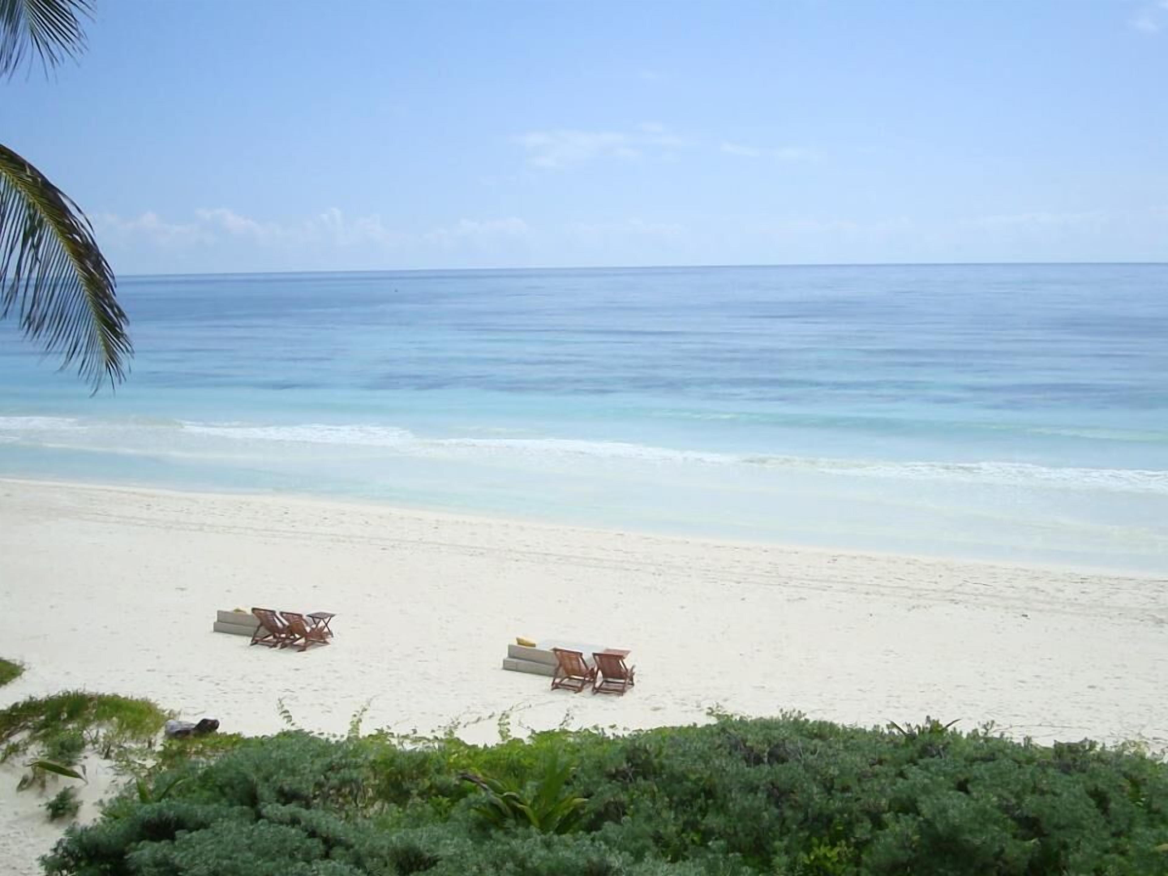 Una playa con dos sillas de descanso y una palmera.
