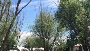 Unclassified image, 4 of 33, button - Sunny Springs Resort & Campground (Ephrata)