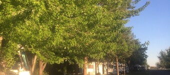 Sunny Springs Resort & Campground