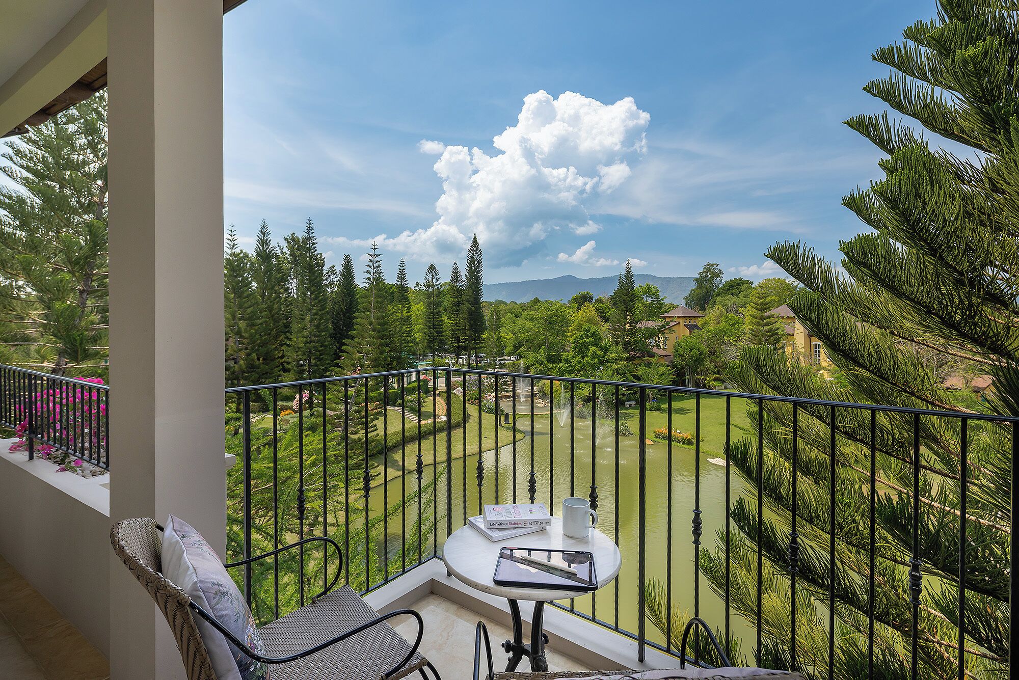 Vista desde la habitación