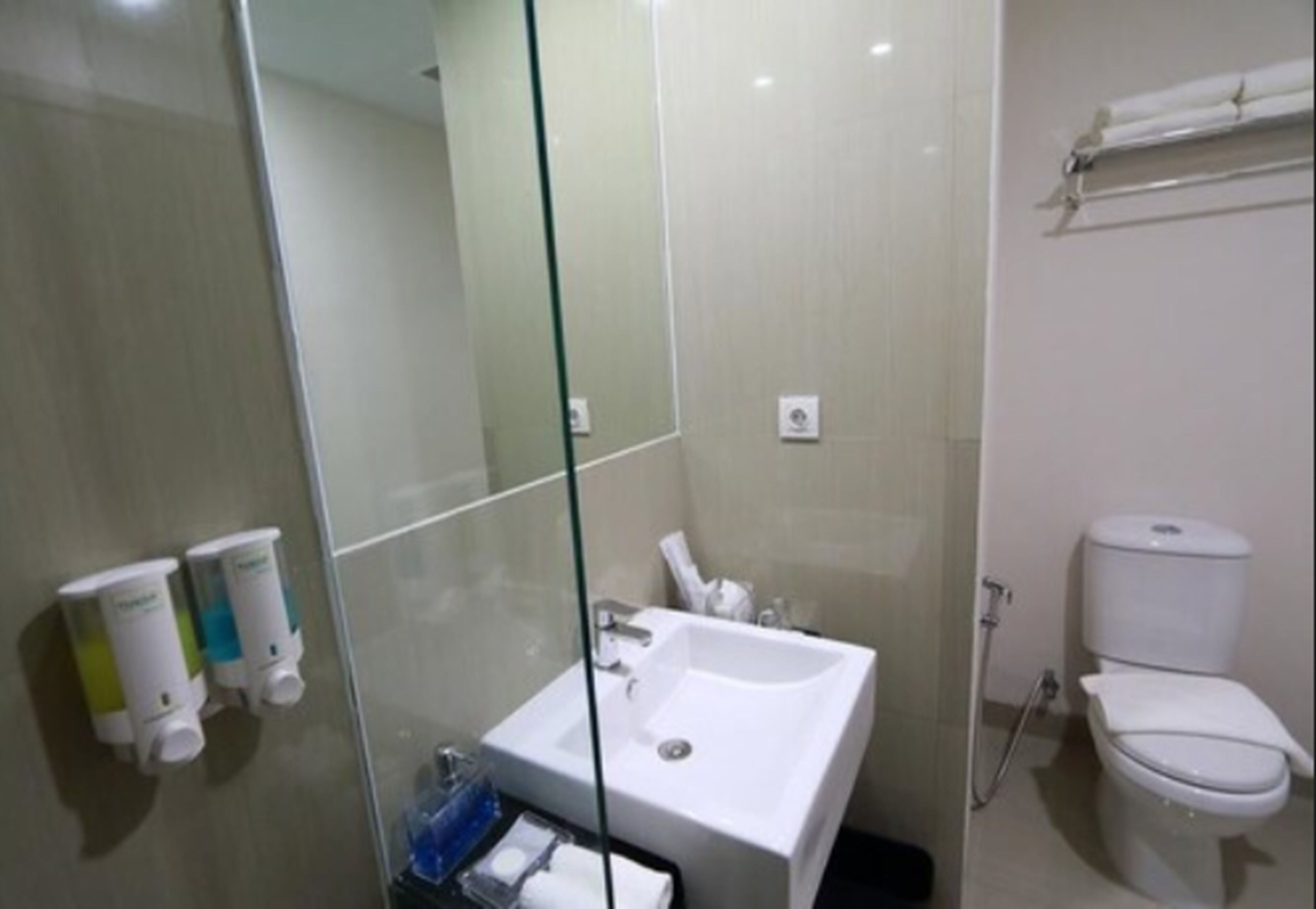 A modern bathroom with a glass shower enclosure, a white sink, and a toilet.