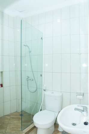 Shower, free toiletries, bidet, towels