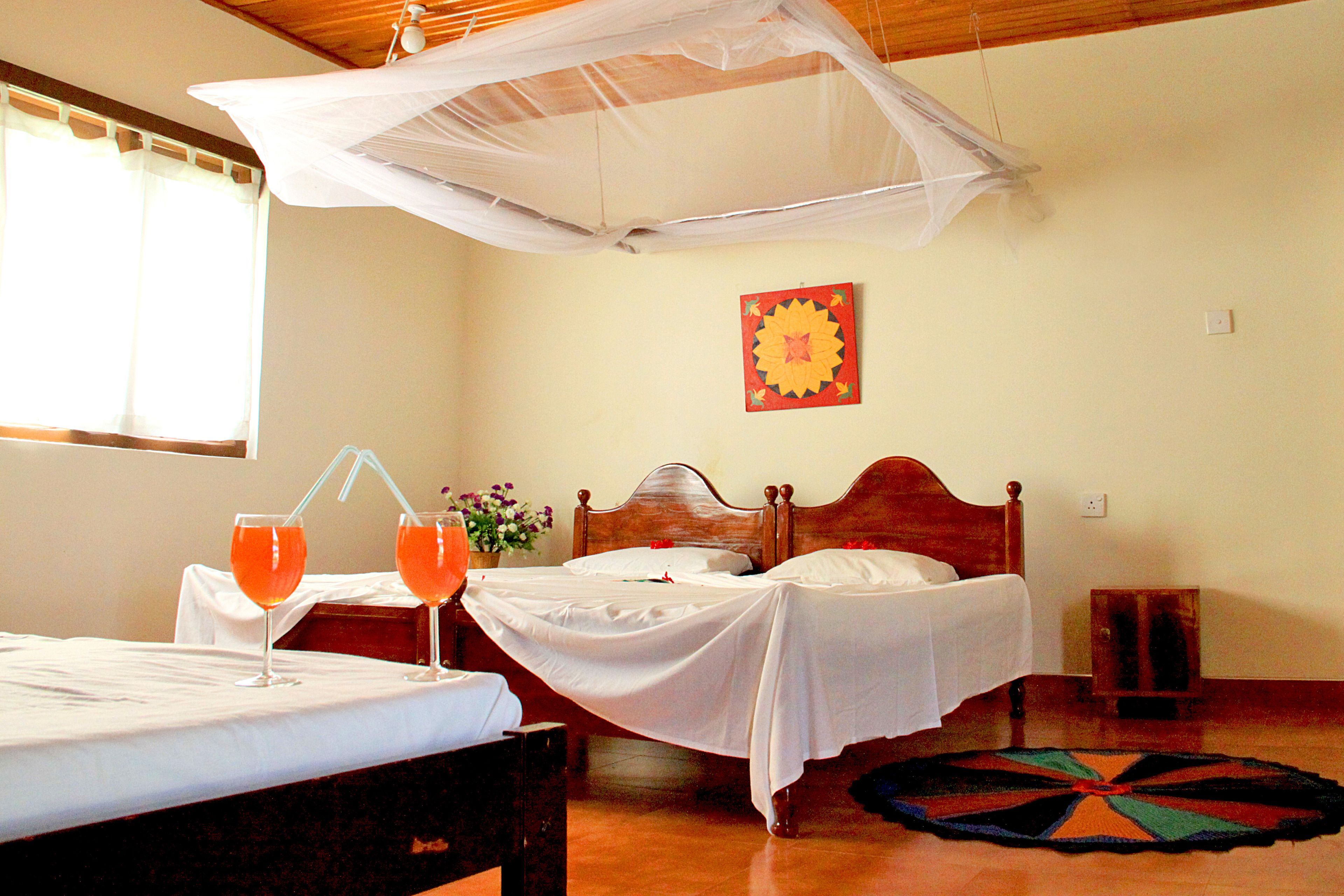 Standard Twin Room, 1 Bedroom, Beachfront | View from room