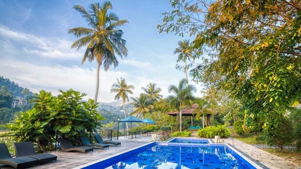 Una piscina con sillones de descanso y palmeras.