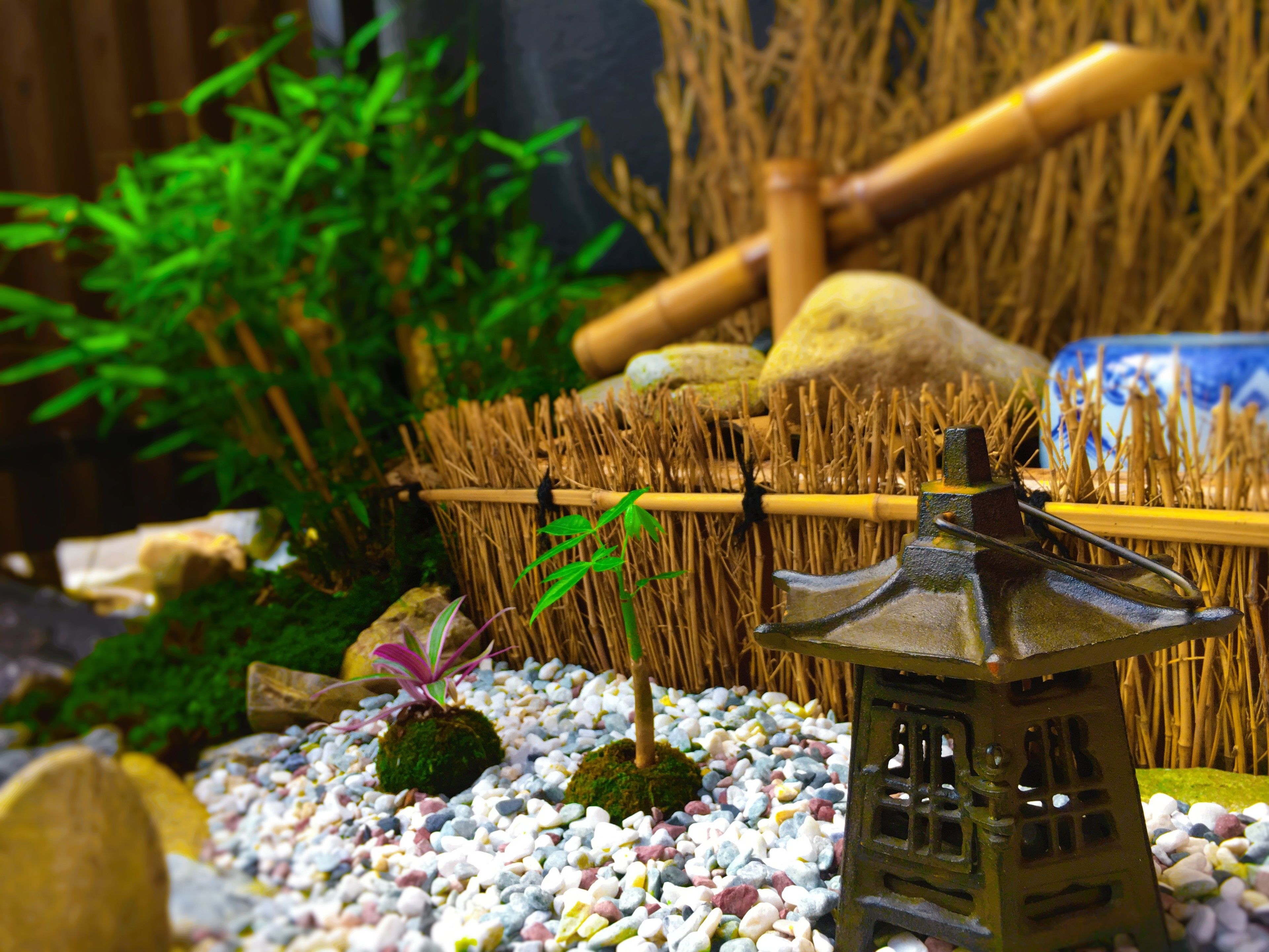 Foto - Guest House Oumi