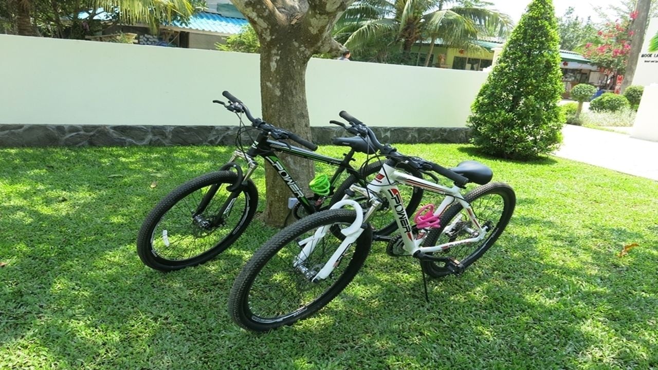 Two bicycles parked on a grassy area with a tree and a white wall in the background.