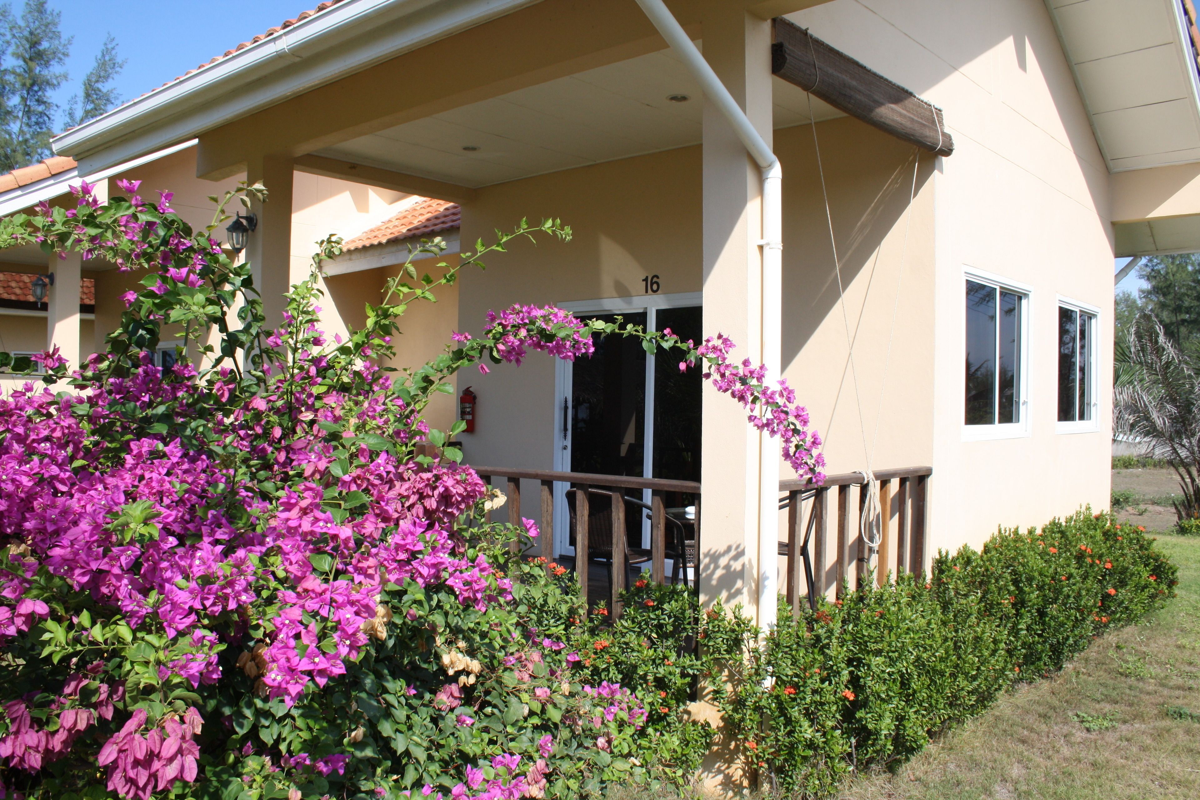 standard bungalow | view from room