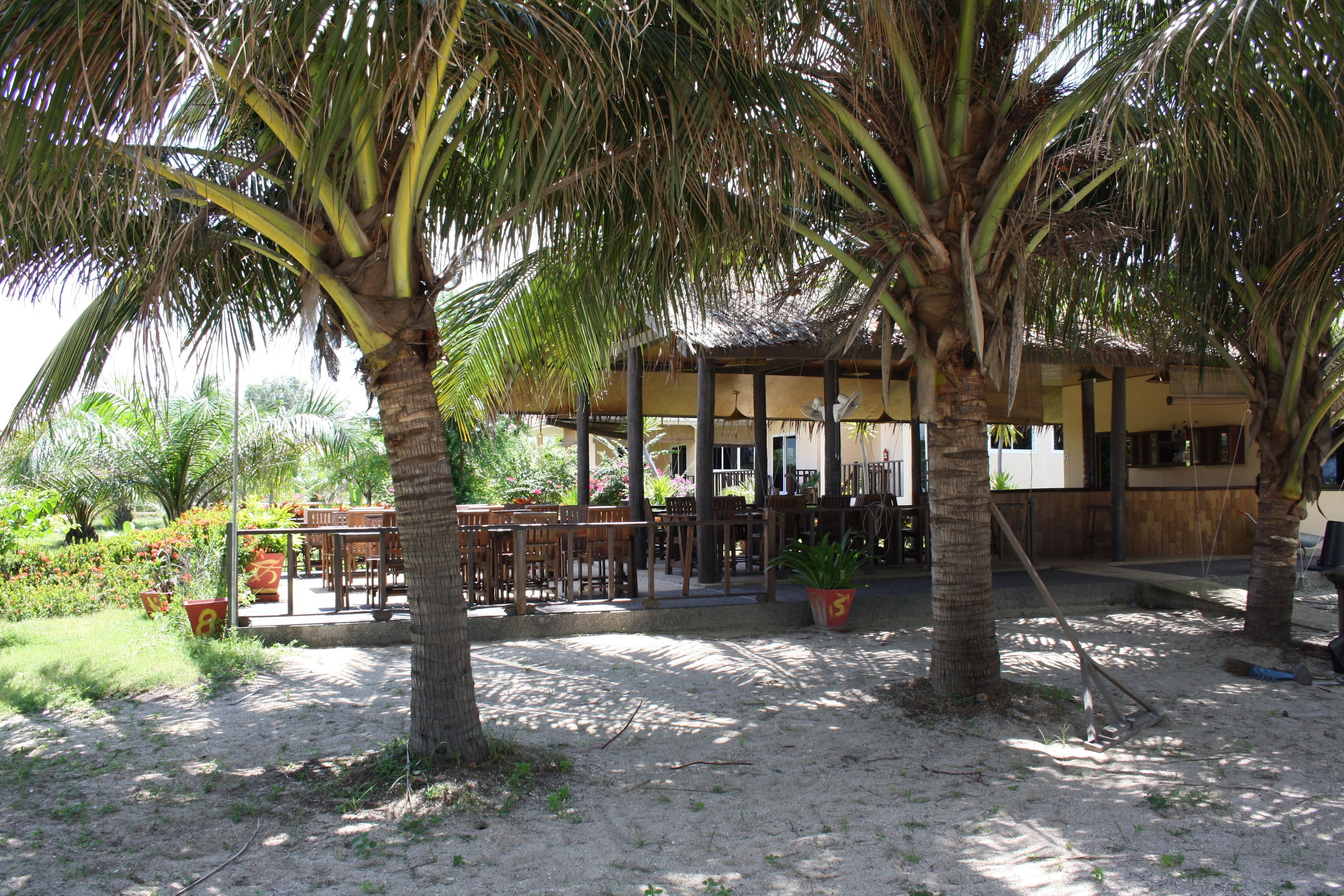 A covered outdoor seating area with tables and chairs, surrounded by palm trees and potted plants.