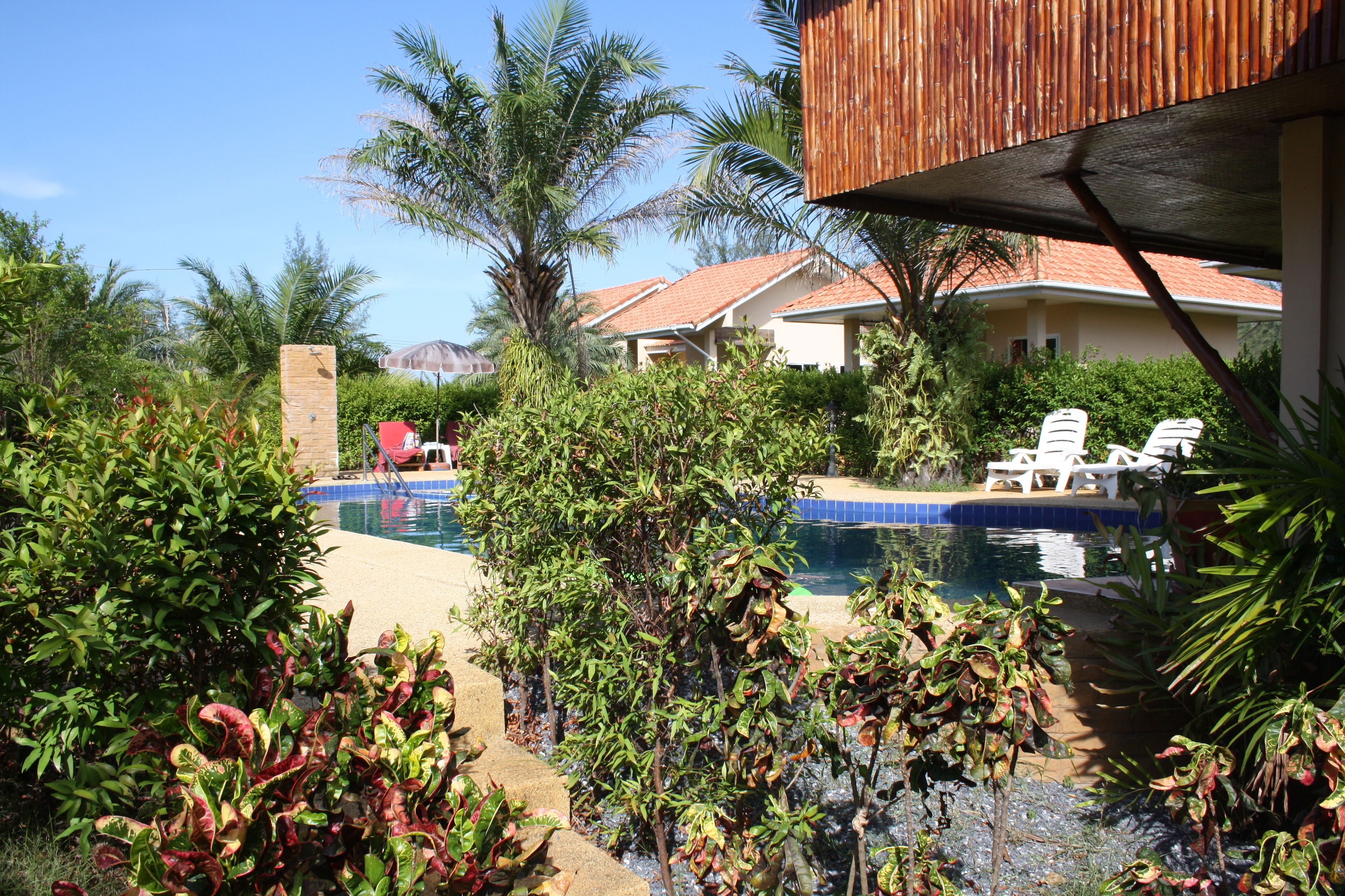 Zona de piscina con sillones de descanso y una piscina pequeña, rodeada de exuberante vegetación y un edificio con tejado de azulejos.