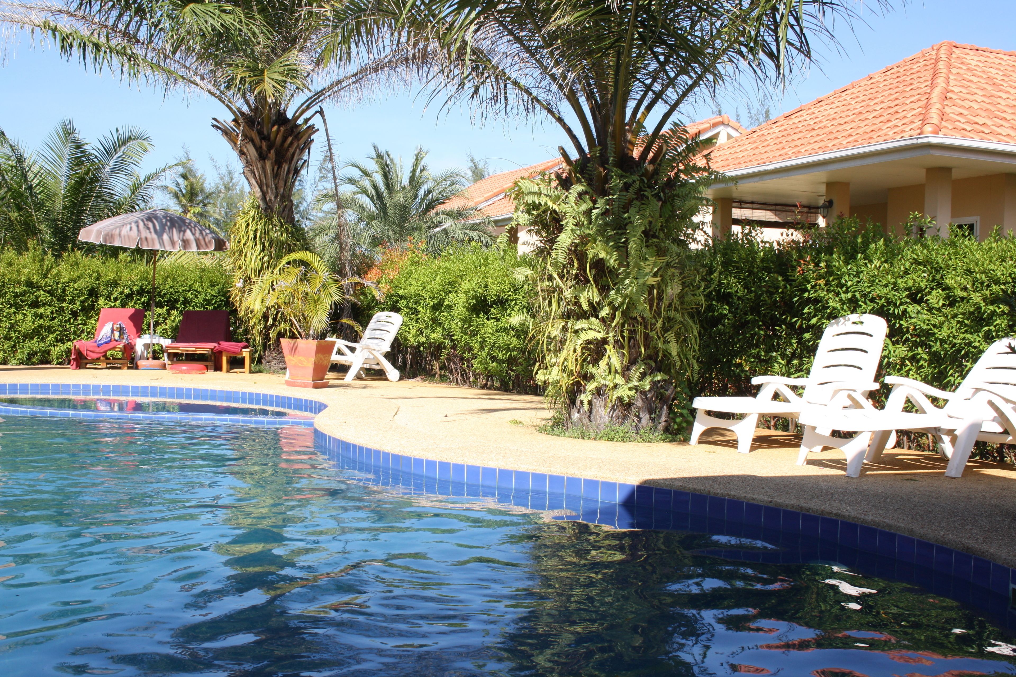 outdoor pool, pool loungers