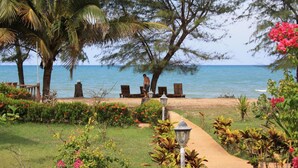 Un jardín junto a la playa con un sendero, palmeras y vistas al mar.
