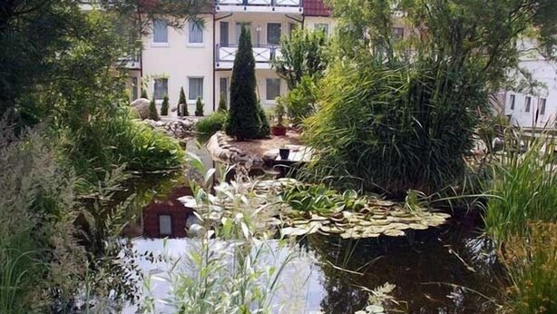 A pond with lily pads surrounded by various plants and trees, with a building in the background. - Hotel & Restaurant Kuhfelder Hof (Kuhfelde)
