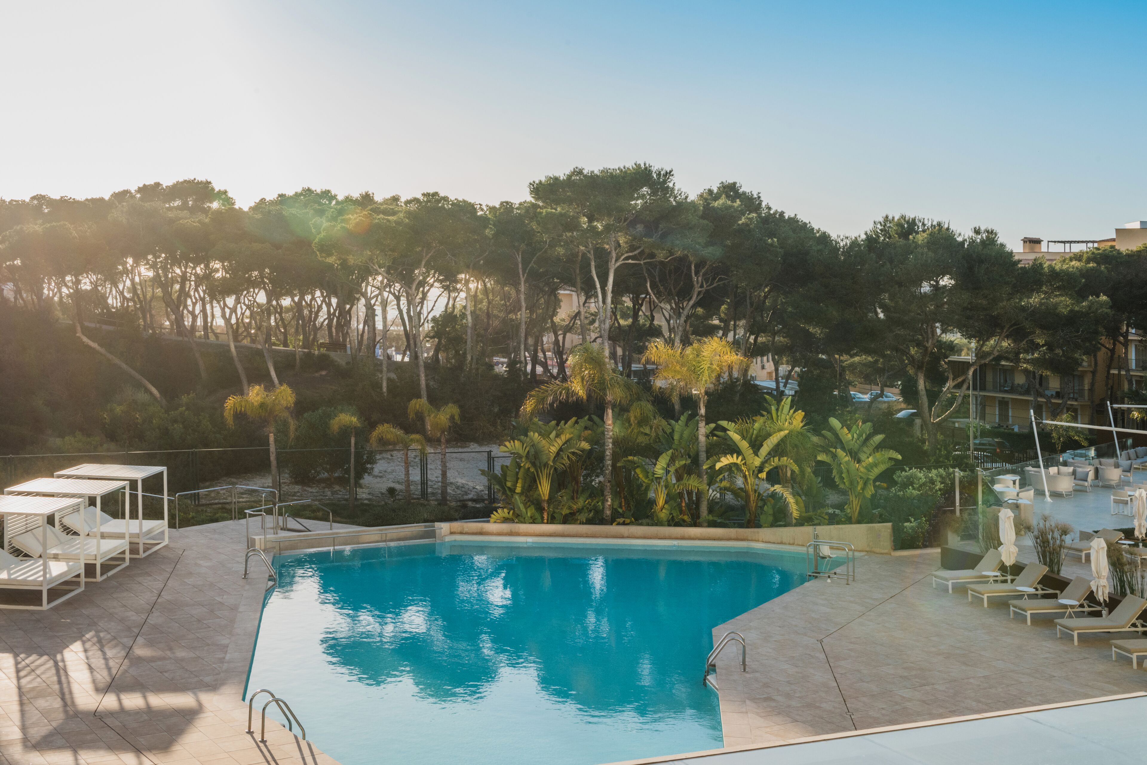 Una piscina con sillones de descanso y sombrillas, rodeada de árboles y un cielo despejado.