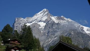 Apartment, 3 Bedrooms, Balcony, Mountain View | View from room