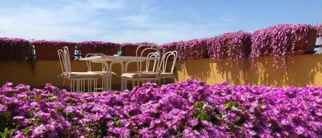 A terrace with a table and chairs, surrounded by a wall covered with purple flowers.