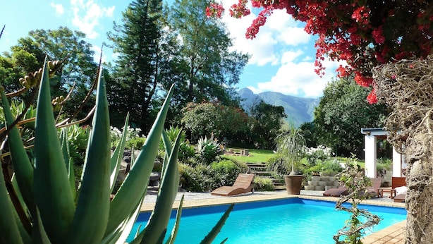 Una piscina rodeada de exuberante vegetación, con plantas de aloe de gran tamaño y árboles en flor.