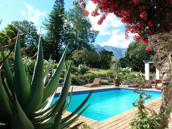 Outdoor pool, pool umbrellas, pool loungers - Marula Lodge Guesthouse (Swellendam)