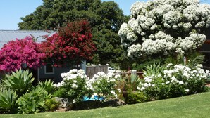 Un jardín con diversas plantas florecientes y una casa al fondo.