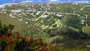 Unclassified image, 5 of 9, button - Rocky Pools Bettys Bay (Betty's Bay)