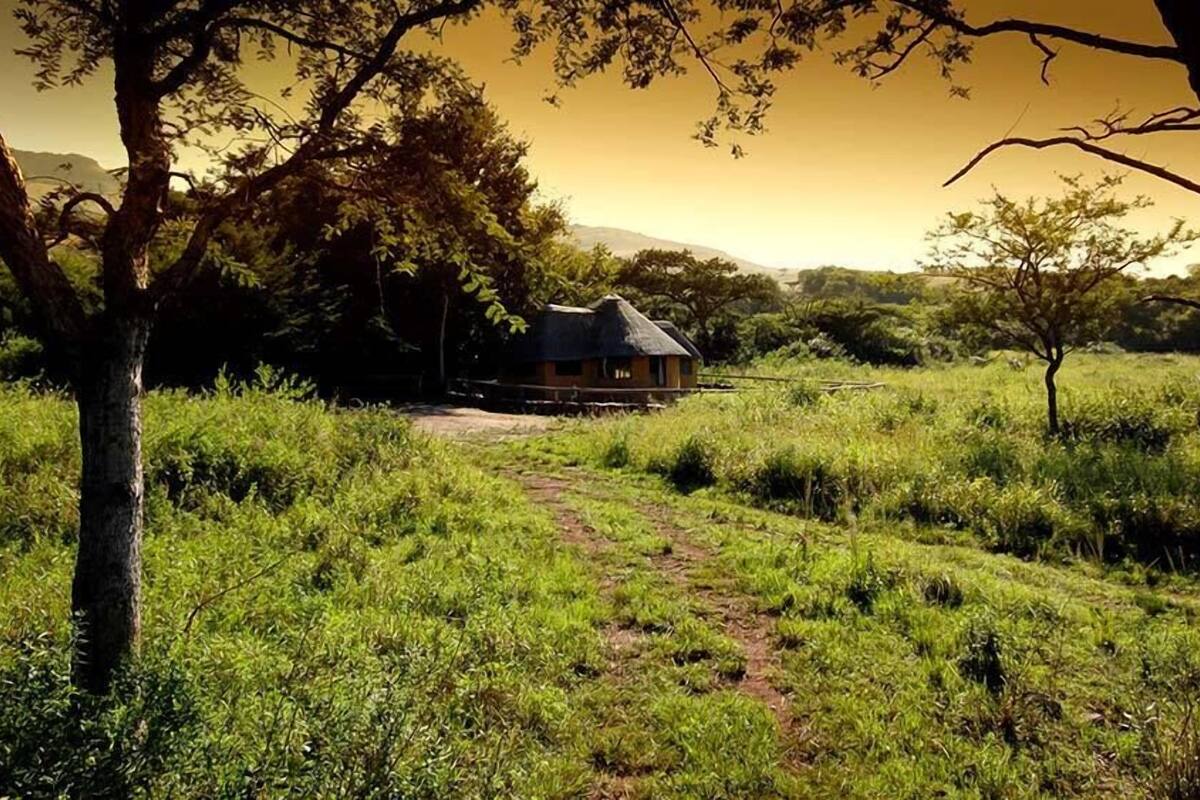 A rural house with a thatched roof, surrounded by lush greenery and trees.