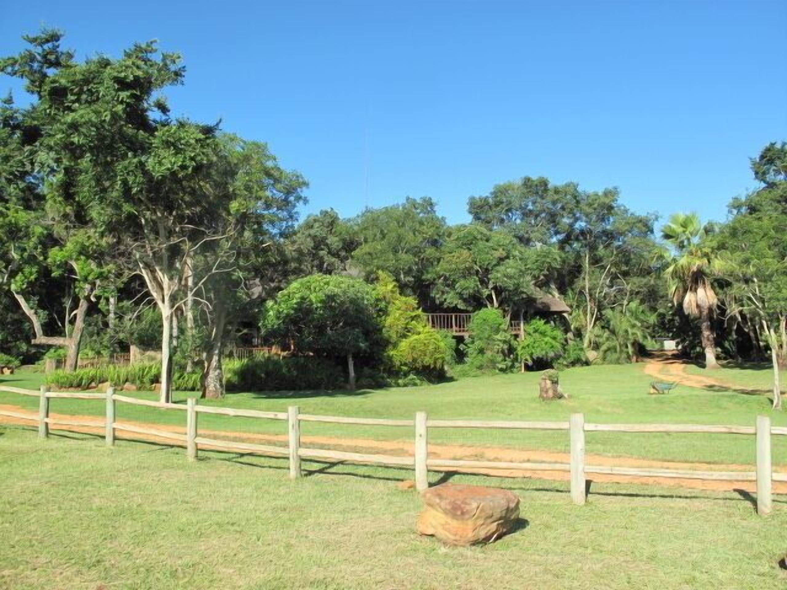 A fenced grassy area with trees and a pathway leading to a building.