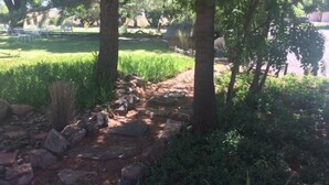 Un sentier de jardin bordé de rochers et de plantes.