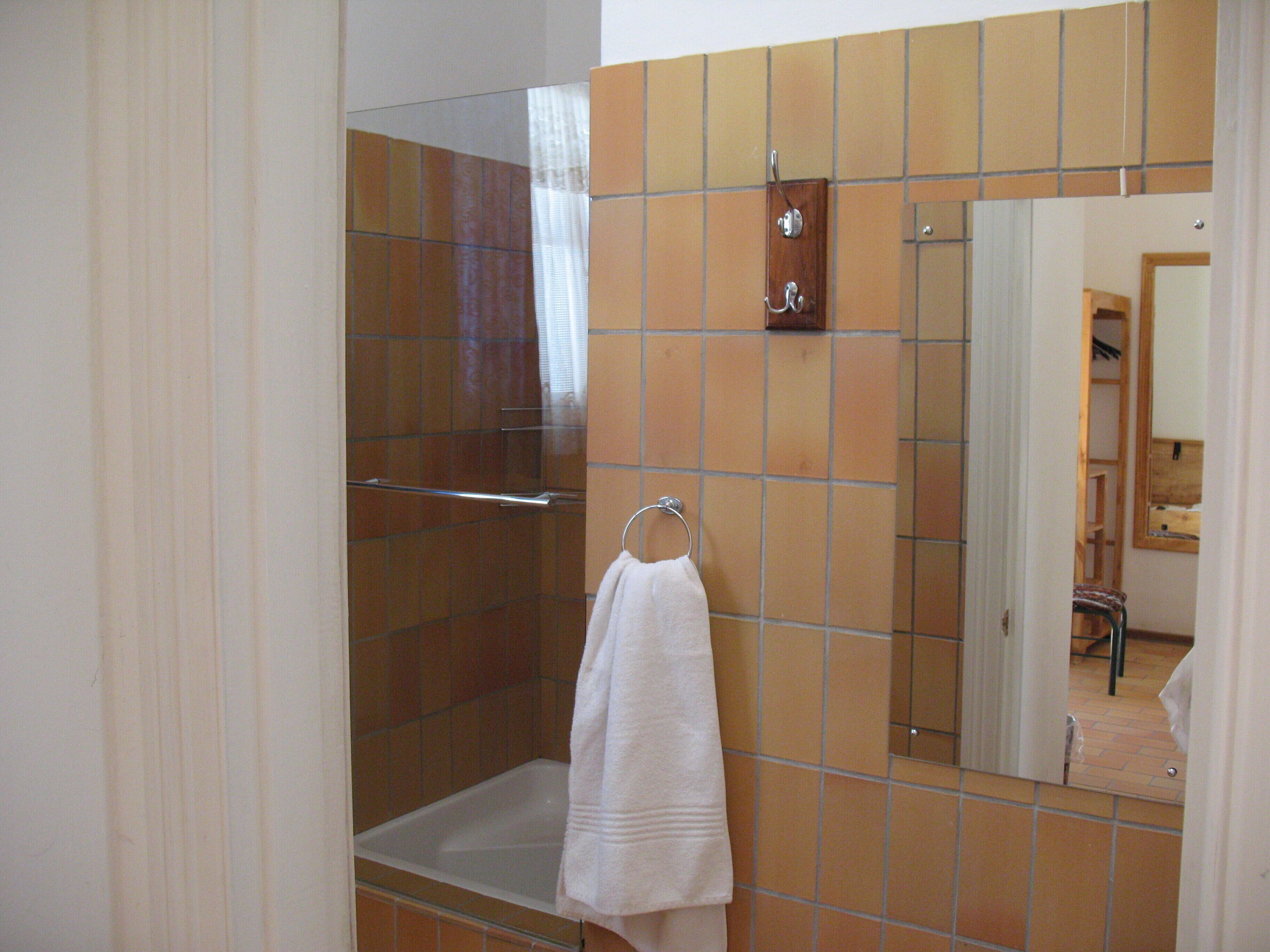 A bathroom with a shower, a towel rack, and a mirror.