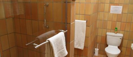Un baño con ducha envuelta en vidrio, inodoro y lavabo.