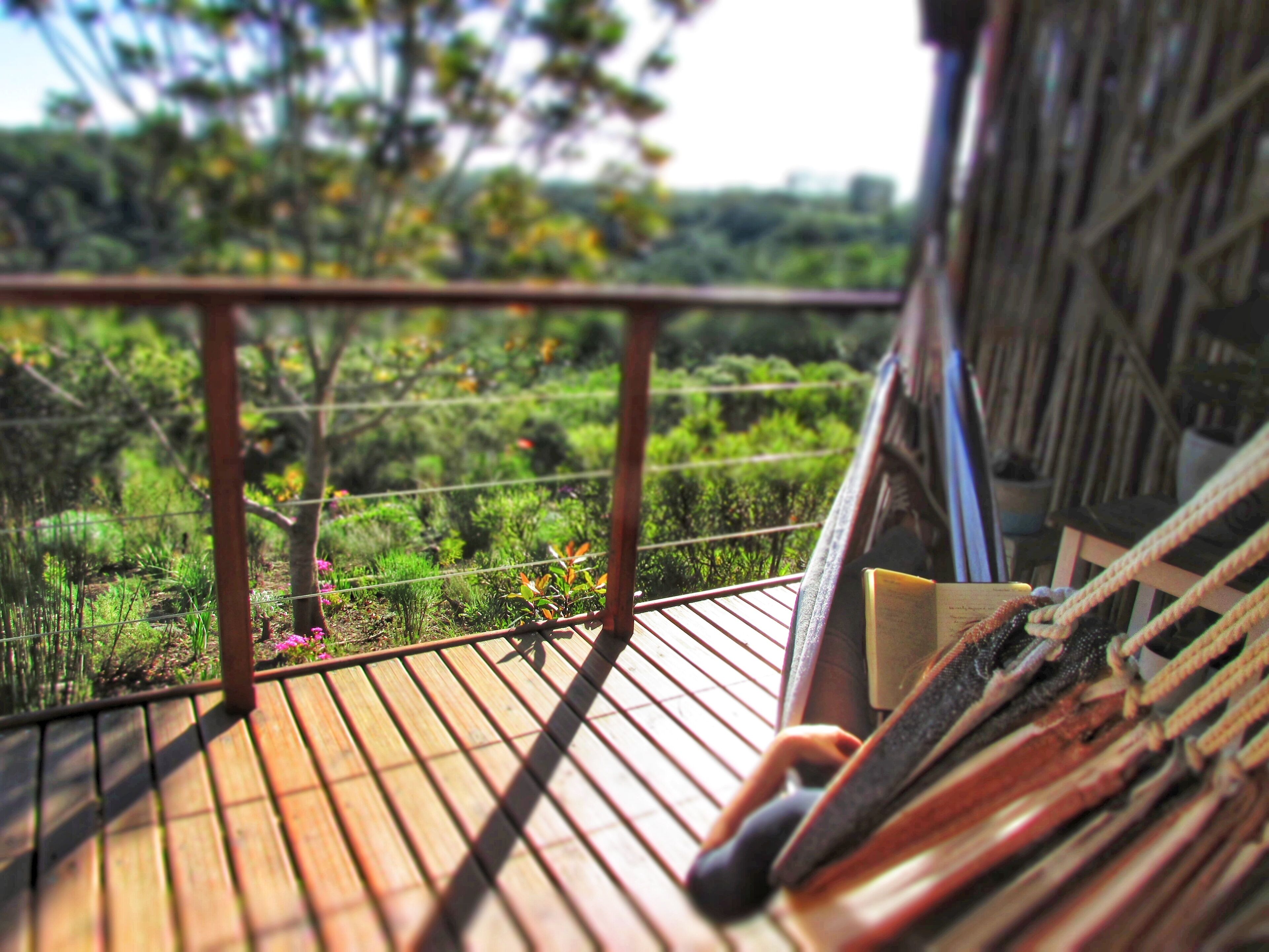 A wooden deck with a metal railing overlooking a lush garden with various plants and flowers.