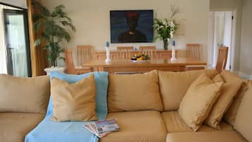 Flat-screen TV