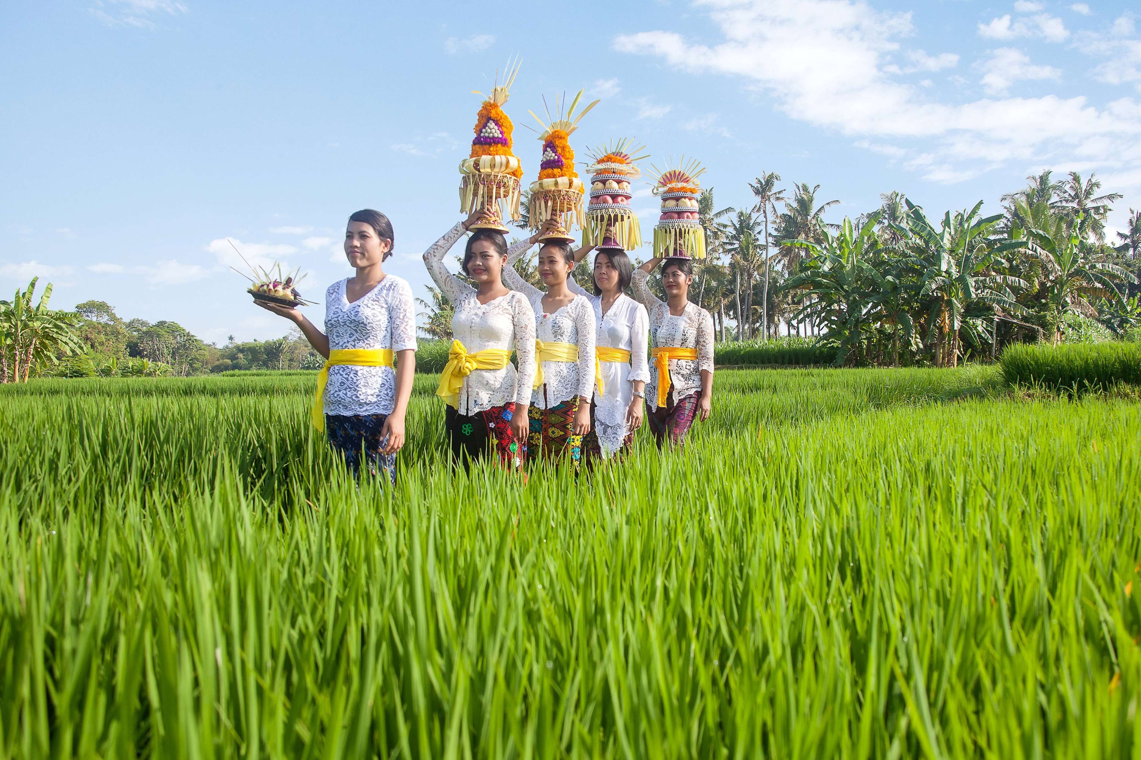 A group of people in a field with tall grass and palm trees in the background.