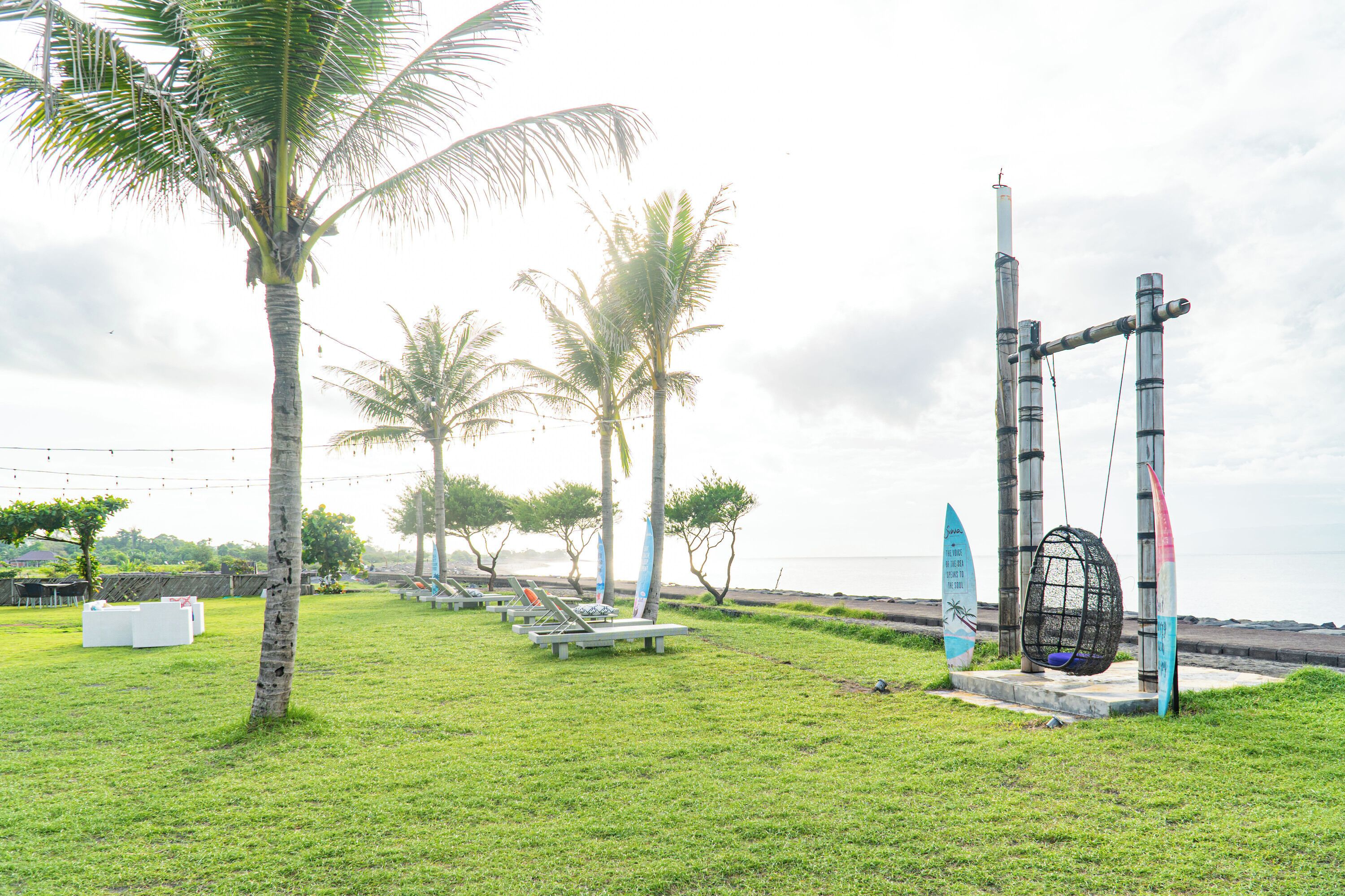 A grassy area with palm trees, beach chairs, and surfboards.