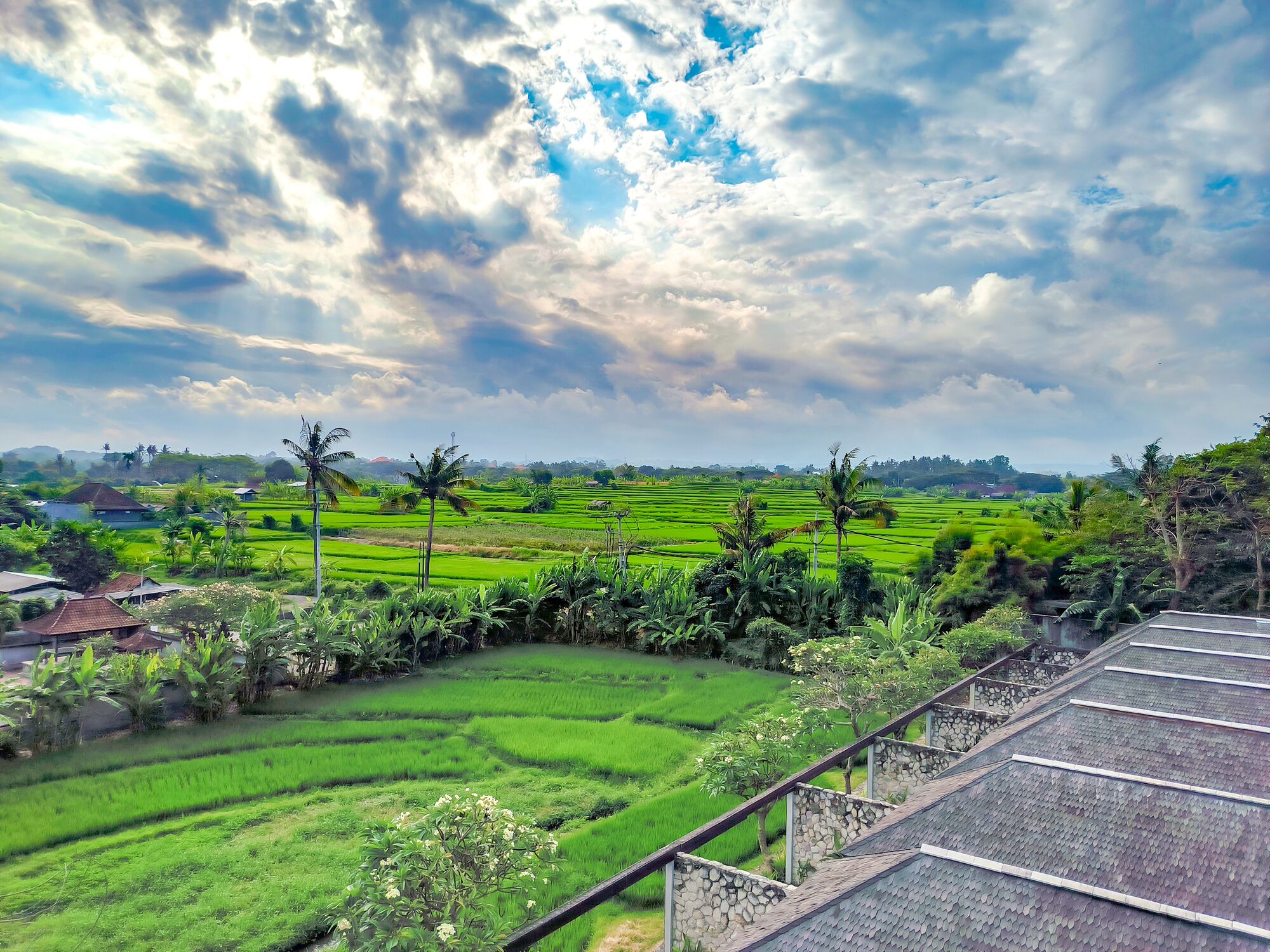 A view of terraced rice fields with a clear sky and scattered clouds.
