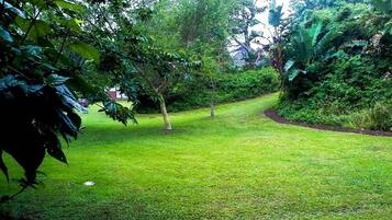 Comfort House, 3 Bedrooms (Luxury Villa) | View from room