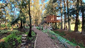 Une zone boisée avec une structure en bois surélevée sur des piliers, entourée d’arbres et bordée d’un chemin de gravier.