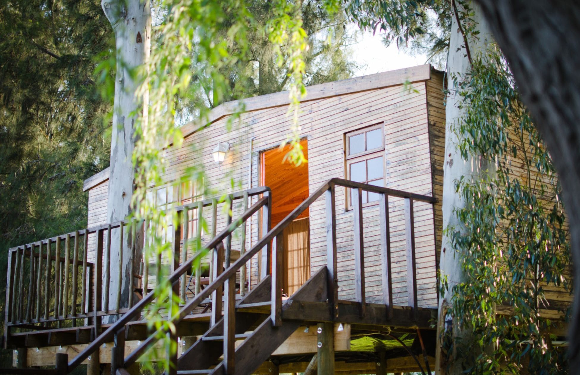 Uma cabana de madeira com uma escada de madeira que leva a uma porta, rodeada por árvores.