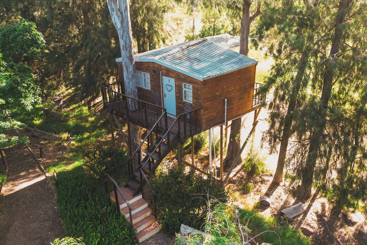 A treehouse with a wooden exterior, a blue door, and a staircase leading up to it.