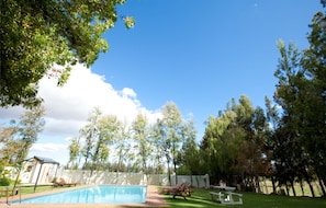 Outdoor pool, pool loungers