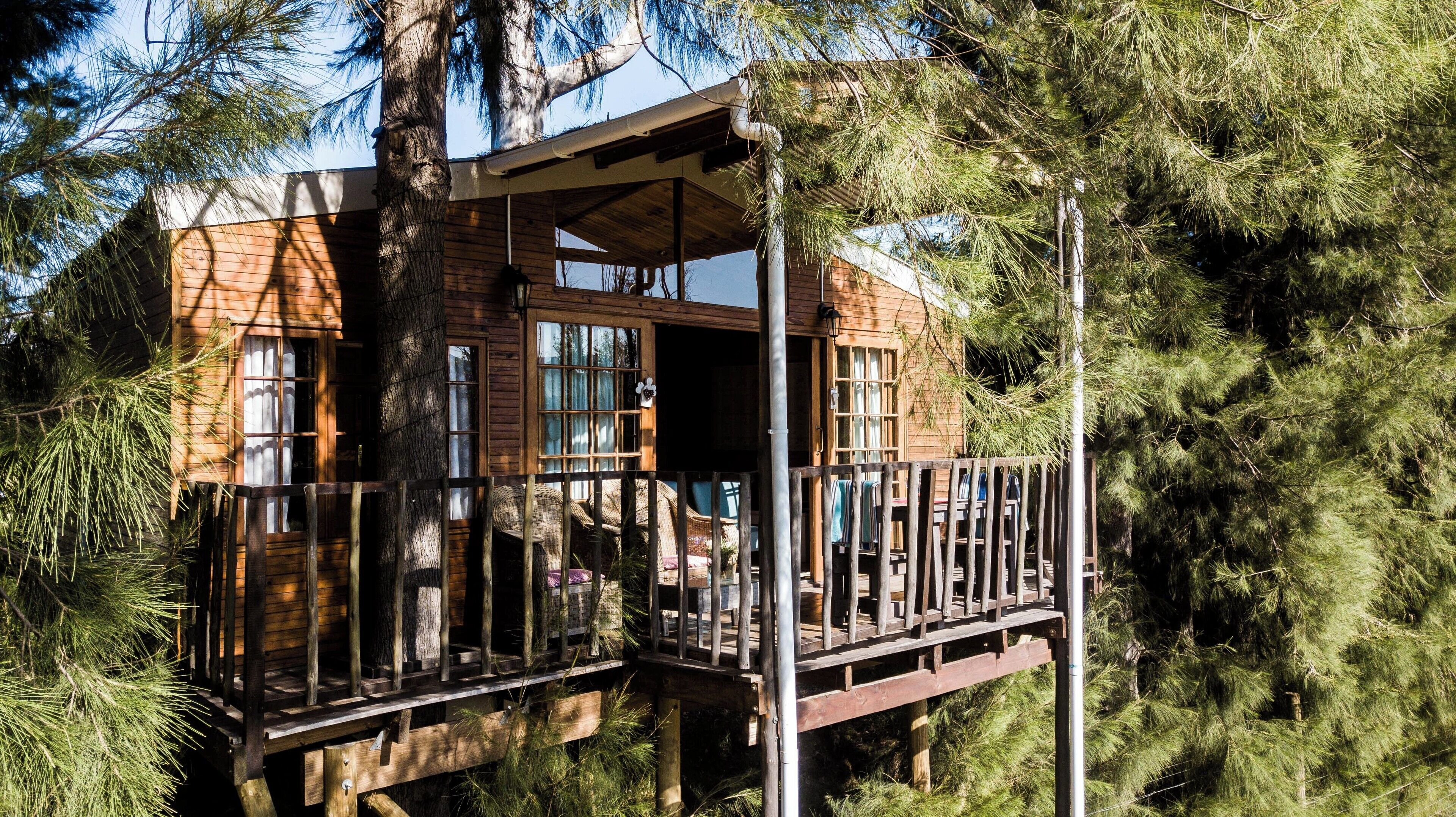 Casa de árbol romántica, 1 habitación (Tree House) | Terraza o patio